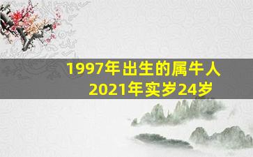 1997年出生的属牛人 2021年实岁24岁